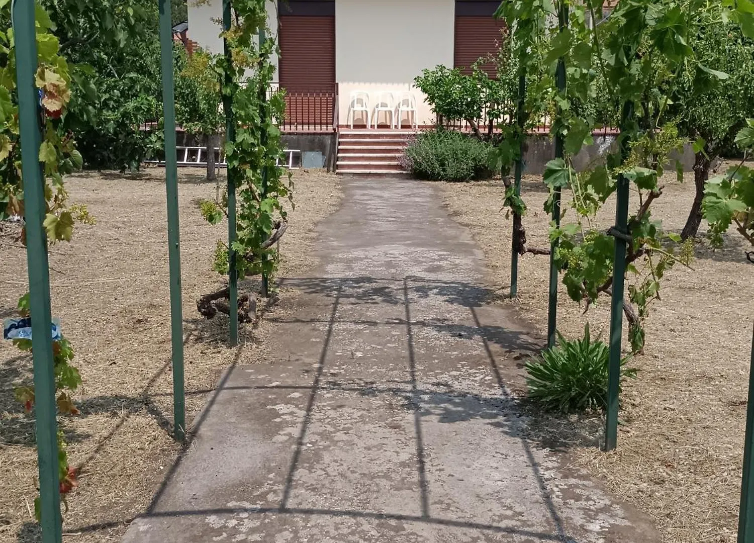 Casa Vacanze Francesco E Tanina Nicolosi 0*,  Italy